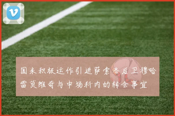 国米积极运作引进萨索洛后卫穆哈雷莫维奇与中场科内的转会事宜